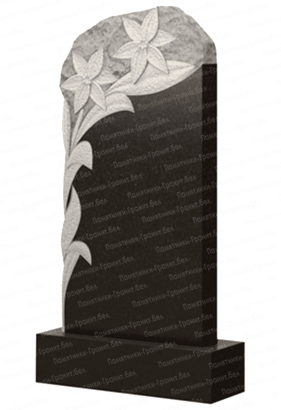 Памятник Докшицы изображение