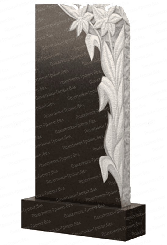 Заказать памятник Докшицы фото