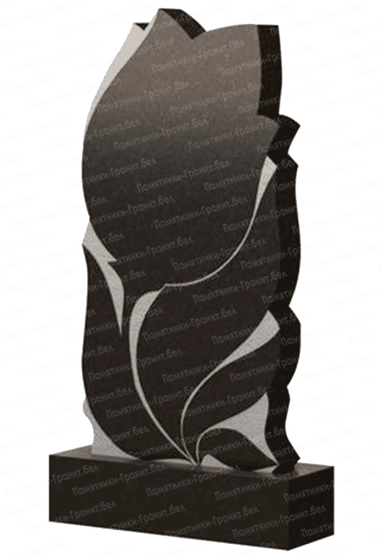 Заказать памятник Докшицы фото