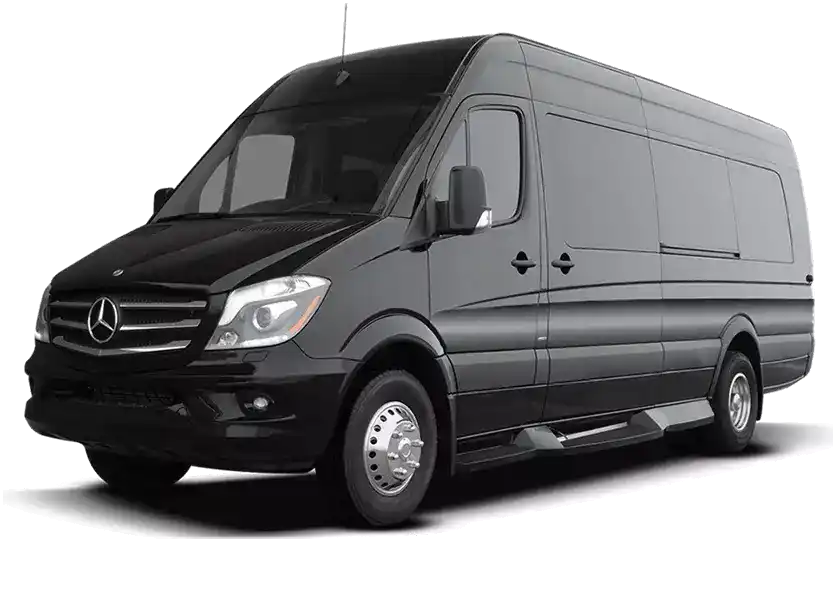 Памятник Докшицы изображение